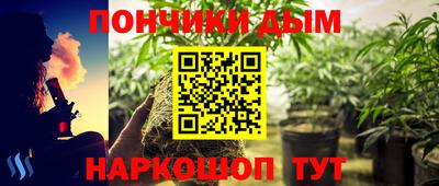 дживик Бийск