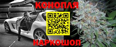 дживик Бийск