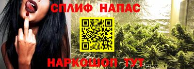 дживик Бийск