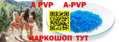 Альфа ПВП Моздок