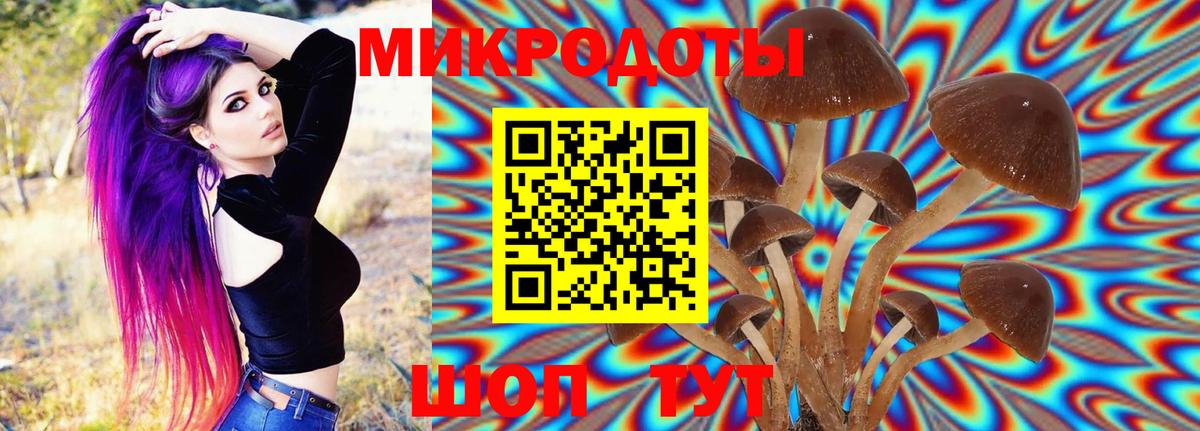 Заводоуковск  Псилоцибиновые грибы ЛСД  Вход с VPN 