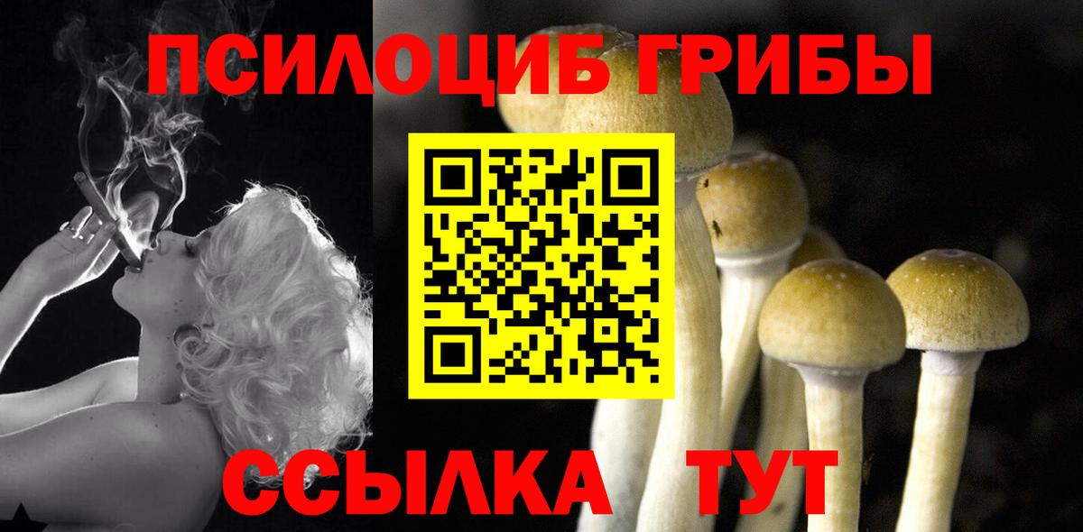 Галлюциногенные грибы ЛСД Заводоуковск